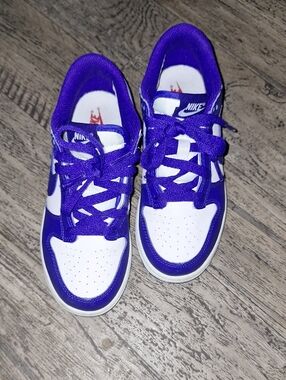 Nike Kids Blue- Purple and White Low-Top Skate Sneakers